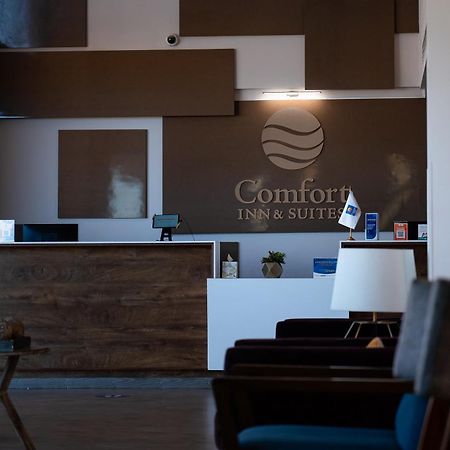 Comfort Inn & Suites Los Cabos Cabo San Lucas Eksteriør bilde
